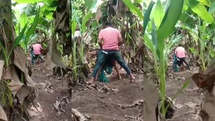 Wife Affair Outdoor Fuck Caught