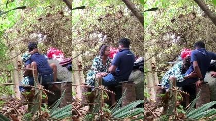 Sri Lankan Many Lover Outdoor Jungle Park Fucking Leaked Viral Mms Lover1 Part-3