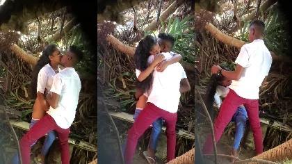 Sri Lankan Many Lover Outdoor Jungle Park Fucking Leaked Viral Mms Lover2 Part-1