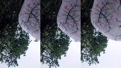 Desi Tharki Boy Recork Her Mother Pussy Secretly